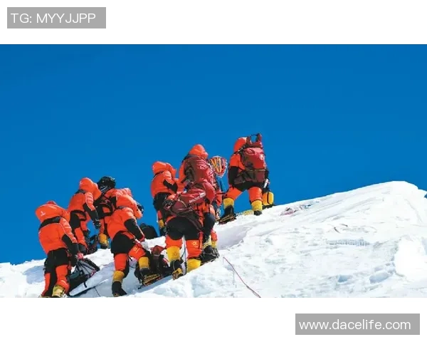 西安飞盘队强势登顶最新飞盘节奏排行榜前十名解析 西安飞盘队强势登顶最新飞盘节奏排行榜前十名解析