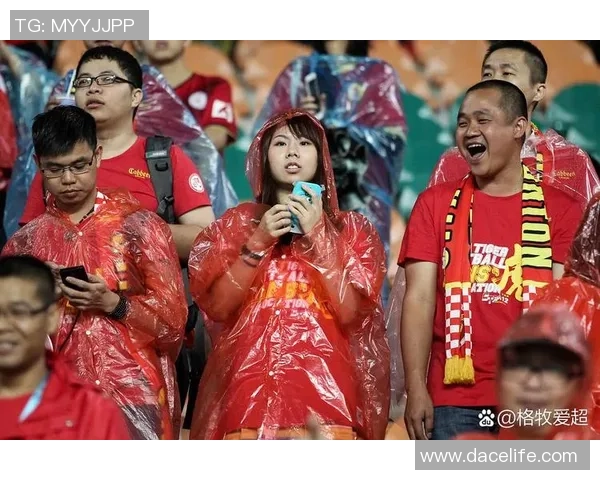 足球有话说球迷心声与赛场故事的真实碰撞与情感交织